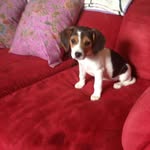 Darlene LaPointe - @lapointe0301 - Instagram