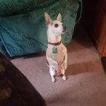 Darlene Larkin - @grandma19571954 - Instagram