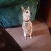 Darlene Larkin - Facebook