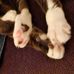 Darlene Larson - Facebook
