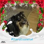 Darlene Laska - Facebook