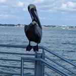 Darlene Lauer - @darlenelauer - Instagram