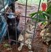 Darlene Gimble Law Firm The Worst - Facebook