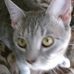 Darlene Law - Facebook