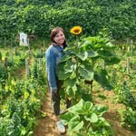 Darlene Ganub - @darlenelearned - Instagram