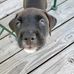 Darlene Lear - Facebook