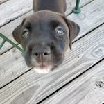 Darlene Lear - @lear9267 - Instagram