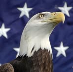 Darlene Ledet - Facebook