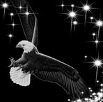 Darlene Ledet - Facebook