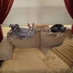 Darlene LeDuc - @dadele3612 - Instagram