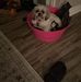 Darlene Lefebvre - Facebook