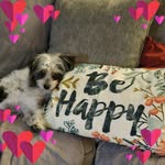 Darlene Lowe - @darlenemlowe - Instagram