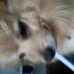 Darlene Lowen - Facebook