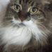 Darlene Macdonald - Facebook