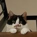 Darlene MacDonald - Facebook