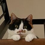 Darlene MacDonald - @darlenemacdonald59 - Instagram