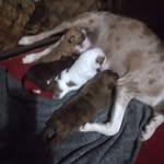 Darlene McCarter - @darlene.mccarter.712 - Instagram