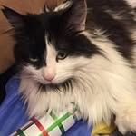 Darlene Mccarty - @kweltina - Instagram