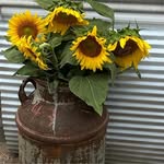 Bridget Darlene Mcclain - @bridget.mcclain.796 - Instagram