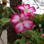 DARLENE MCCLAIN - @darmc_50 - Instagram