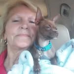 Darlene McClain Sanderson - @darlene_mcclain_sanderson_0321 - Instagram