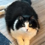 Darlene McDevitt - @mcdevitt.darlene - Instagram