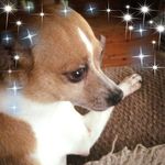 Darlene McLean - @darlene.mclean.902 - Instagram