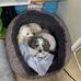Darlene Mclean - Facebook