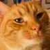 Darlene McLemore - Facebook