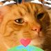 Darlene McLemore - Facebook
