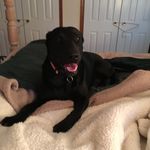 Darlene McLemore - @mclemoredarlene - Instagram