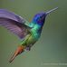 Darlene Moser - Facebook
