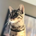Darlene Moser - @moser8275 - Instagram