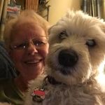 Darlene Moser Leech - @darlenemoserleech - Instagram
