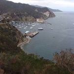 Darlene Nash - @ladyd1961 - Instagram