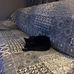Darlene North - Facebook