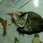Darlene North - @b4mithyme - Instagram