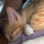 Darlene  frost Ott - @darlenefrostott - Instagram