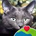Darlene Ott - Facebook