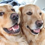 Darlene MacIntyre - @darlene.owen.10 - Instagram
