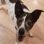 Darlene Park - @darlene.park.5220 - Instagram