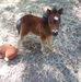 Darlene Parker - Facebook