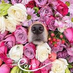 Darlene Patrick Waters - @darlene_patrick_waters - Instagram