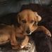 Darlene Power - Facebook