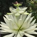 Darlene Purdy - @darlenepurdy658 - Instagram