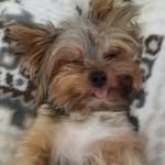 Darlene Raley Waits - @dwaits777 - Instagram