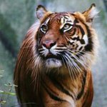 Darlene Rand - @darlene.rand.73 - Instagram