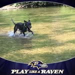 Darlene Randall Brown - @darlenerandallbrown - Instagram