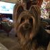 Darlene Reece - Facebook