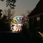Darlene Krzyzak Reilly - @lilacs2964 - Instagram